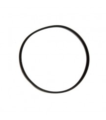 O-ring 975610